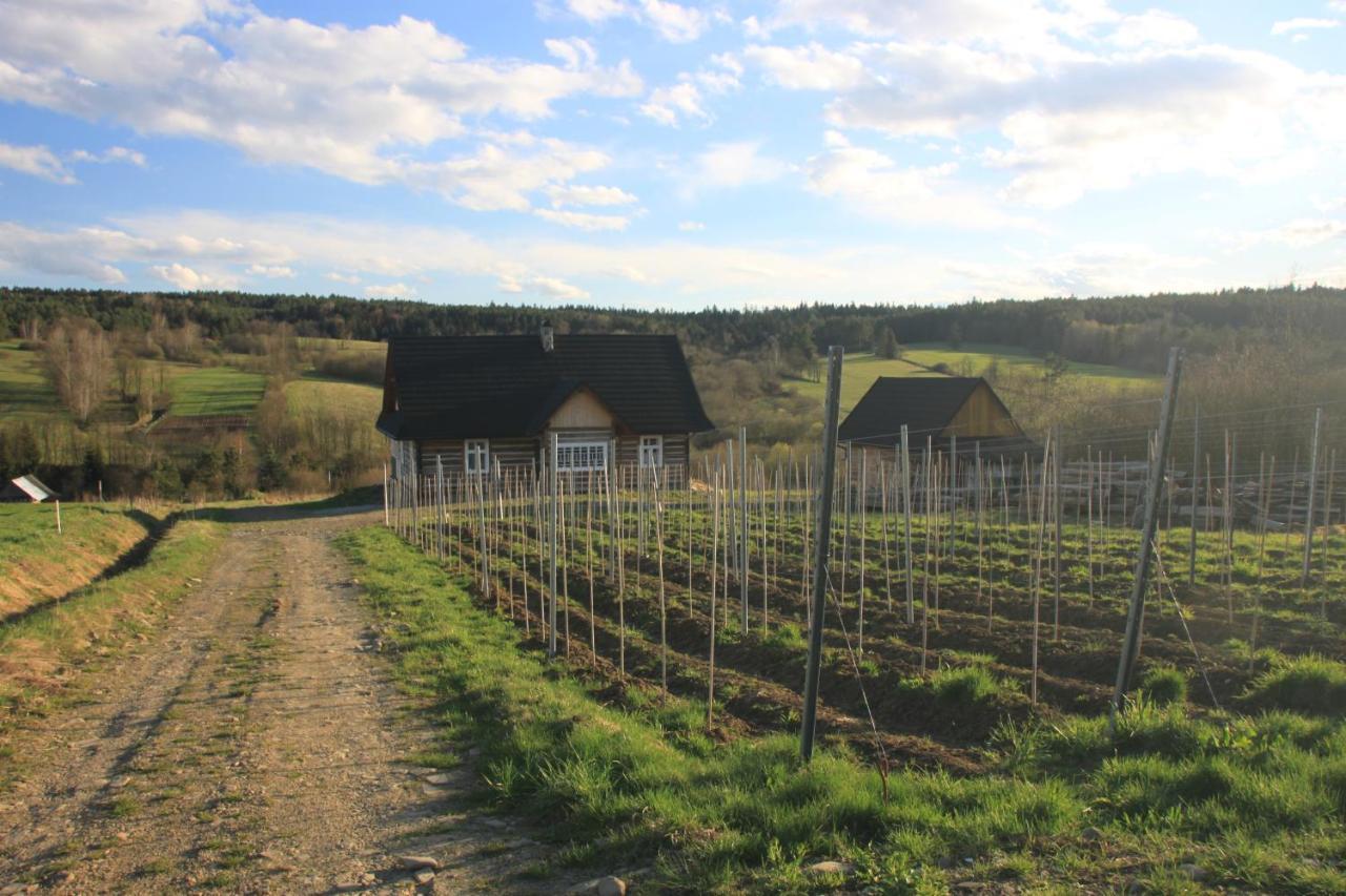Utopia Dom Przy Winnicy Nowica Exterior foto