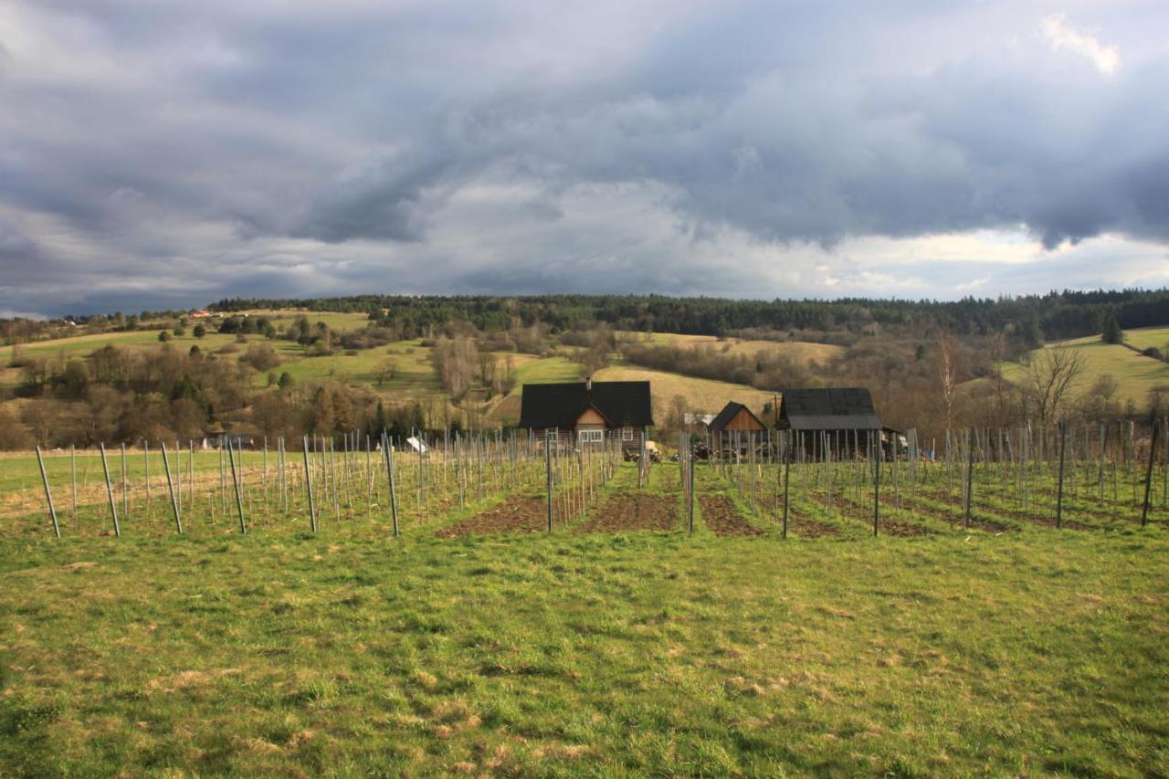 Utopia Dom Przy Winnicy Nowica Exterior foto